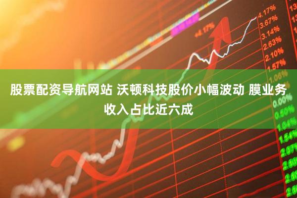 股票配资导航网站 沃顿科技股价小幅波动 膜业务收入占比近六成