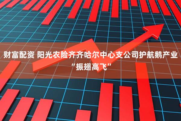 财富配资 阳光农险齐齐哈尔中心支公司护航鹅产业“振翅高飞”